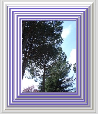 Alberi