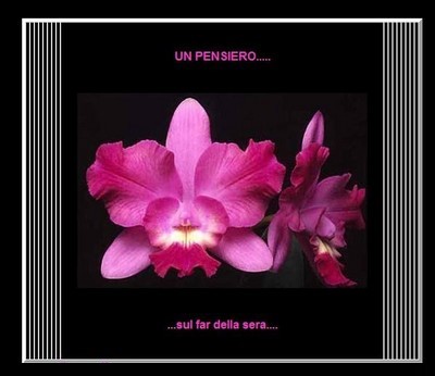 Pensiero