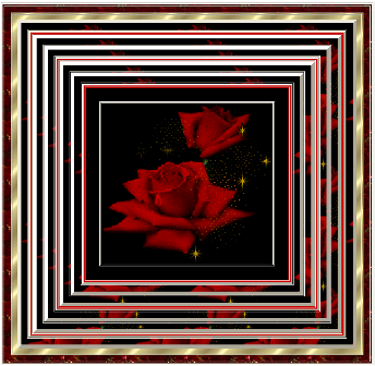Rosa rossa