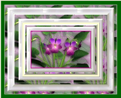 Violettes