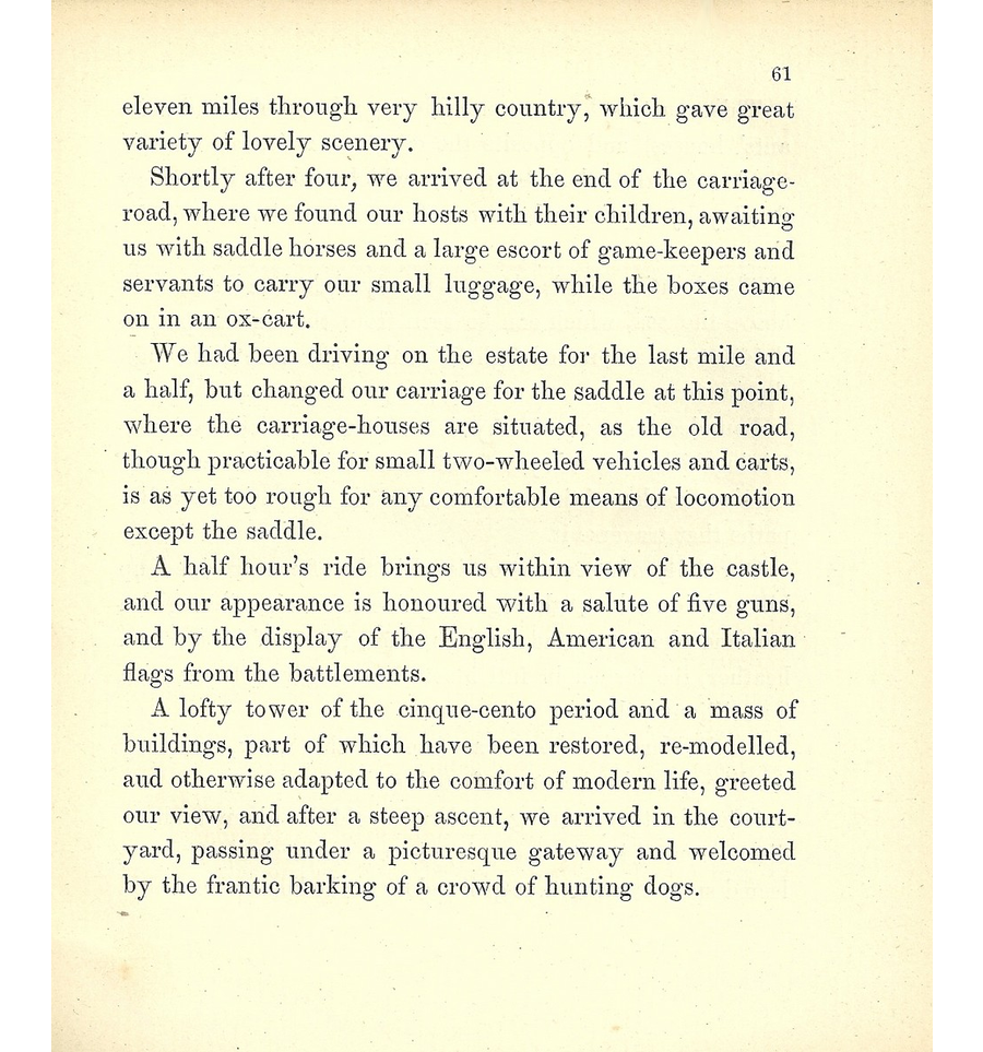 p61