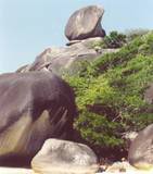 Similan Island