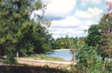 Fossils cemetery